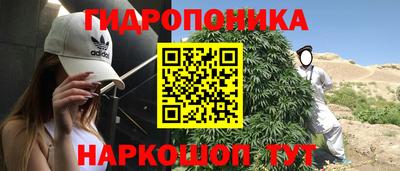 винт Краснодар