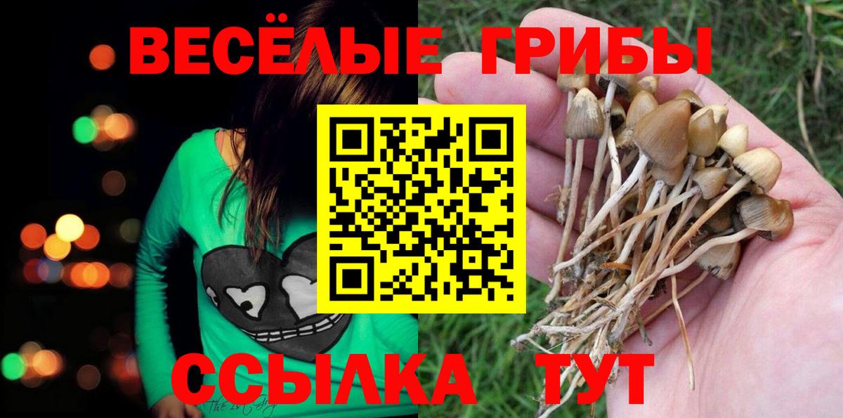 Псилоцибиновые грибы прущие грибы Коломна