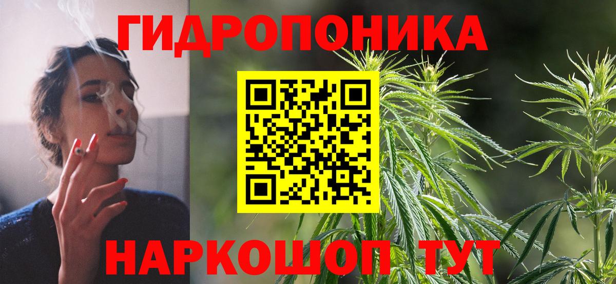Канабис ГИДРОПОН  Конопля OG Kush  Коломна  Шишки марихуана ГИДРОПОН  Вход с VPN 
